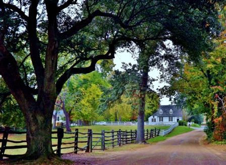 Scenic Virginia: June 25, 2016